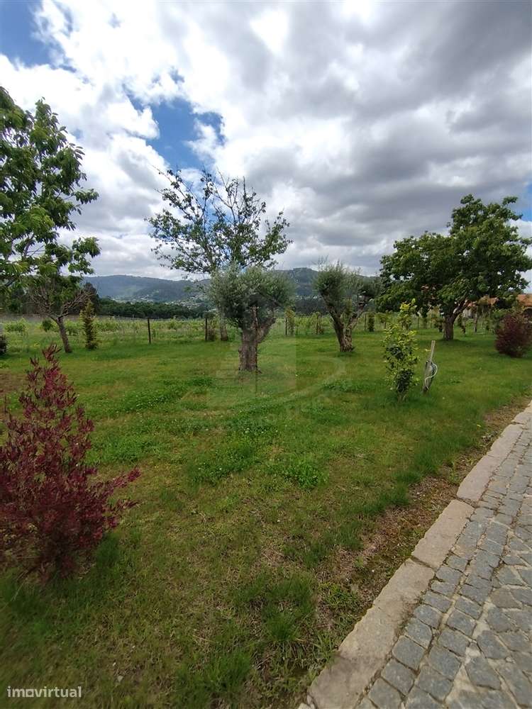 Um Paraíso no Alto Minho com 9 Hectares de Natureza e Produção de Vinh-47