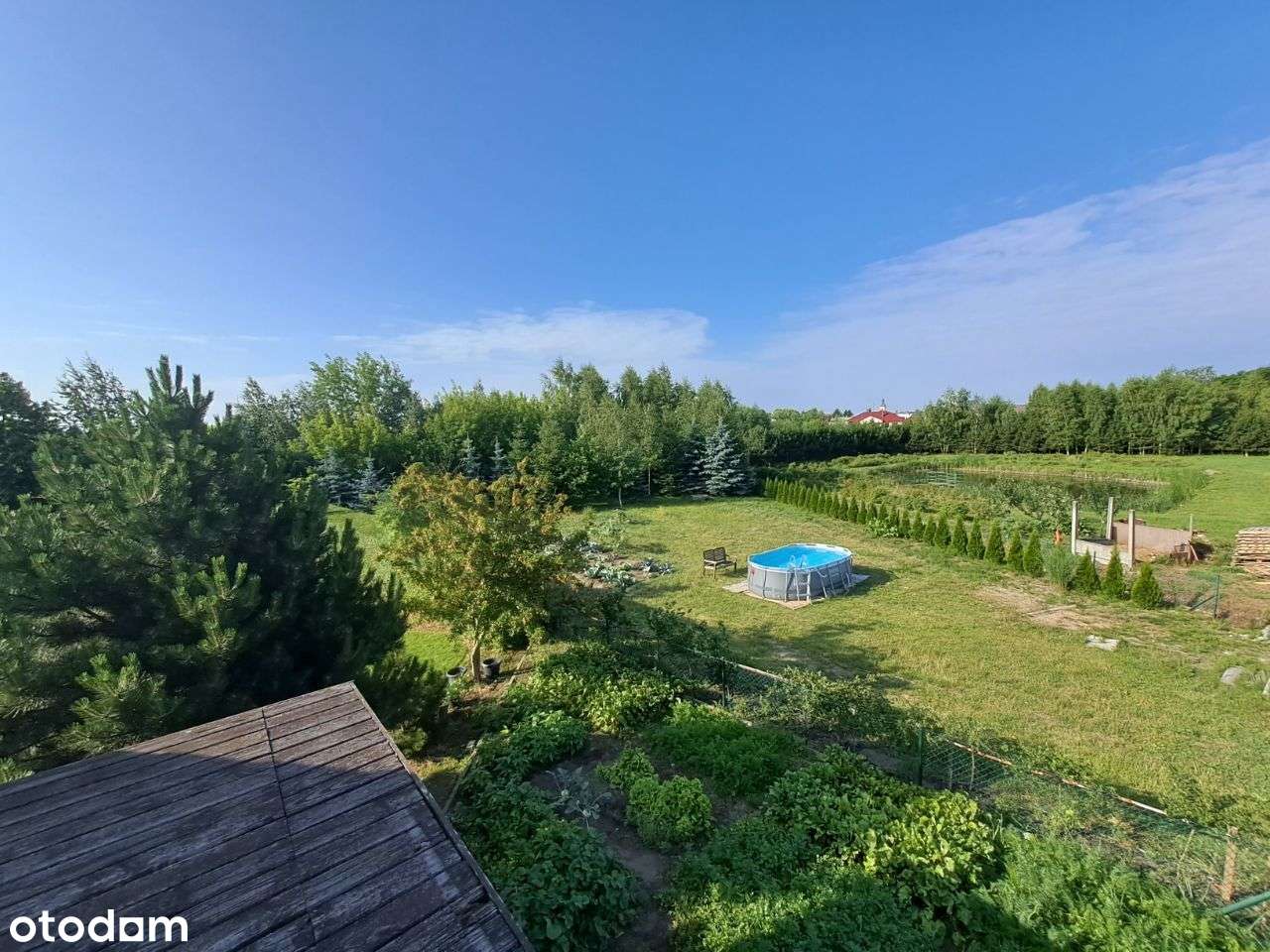 Kórnik Aleja Flensa, zabudowa rezydencjonalna w otoczeniu zieleni - Pełny obrazek: 3/10