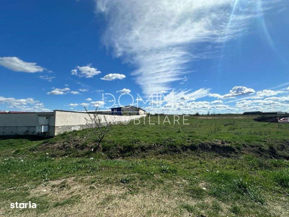 Inchiriere teren intravilan situat in Targu Jiu - strada Narciselor - Imagine principală: 3/4