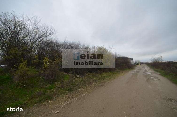 Mogosoia - Nichita Stanescu, Teren 3000mp, Deschidere 44ml, Utilitati - Imagine principală: 2/9