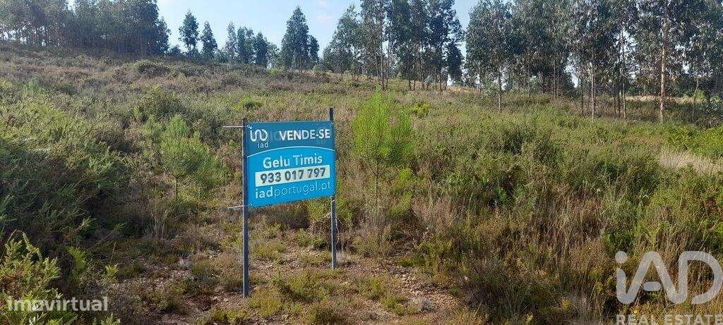 Terreno em Pedrógão Grande de 5700,00 m2 - Grande imagem: 4/15