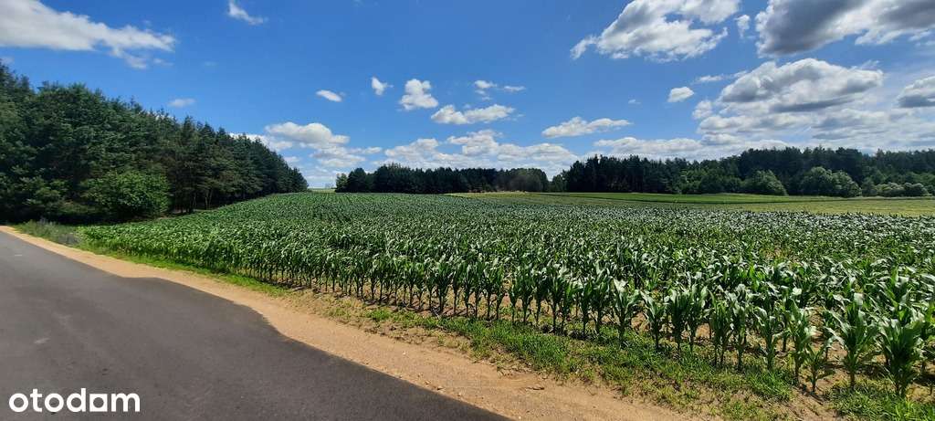 Działki w Dolinie Rospudy - Pełny obrazek: 5/5