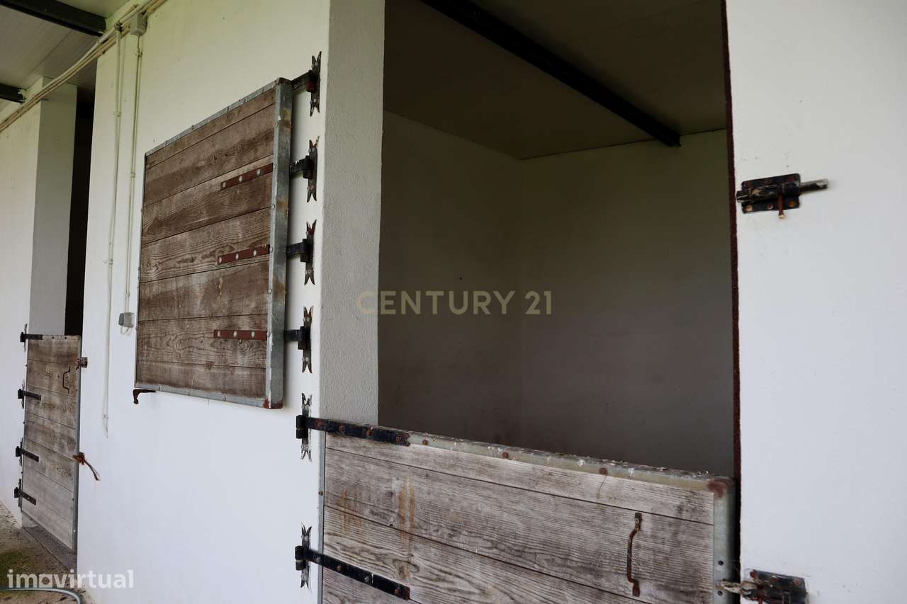 Encantadora Quinta em Mafra com Vista Mar e Serra – Piscina, Anexos e-36