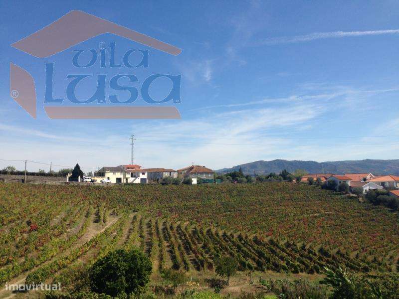 Moradia em Ruinas em Pedra - Grande imagem: 3/13