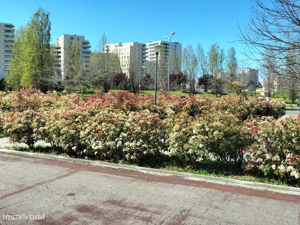 Terreno para Construção de Prédio - Lumiar - Lisboa-15