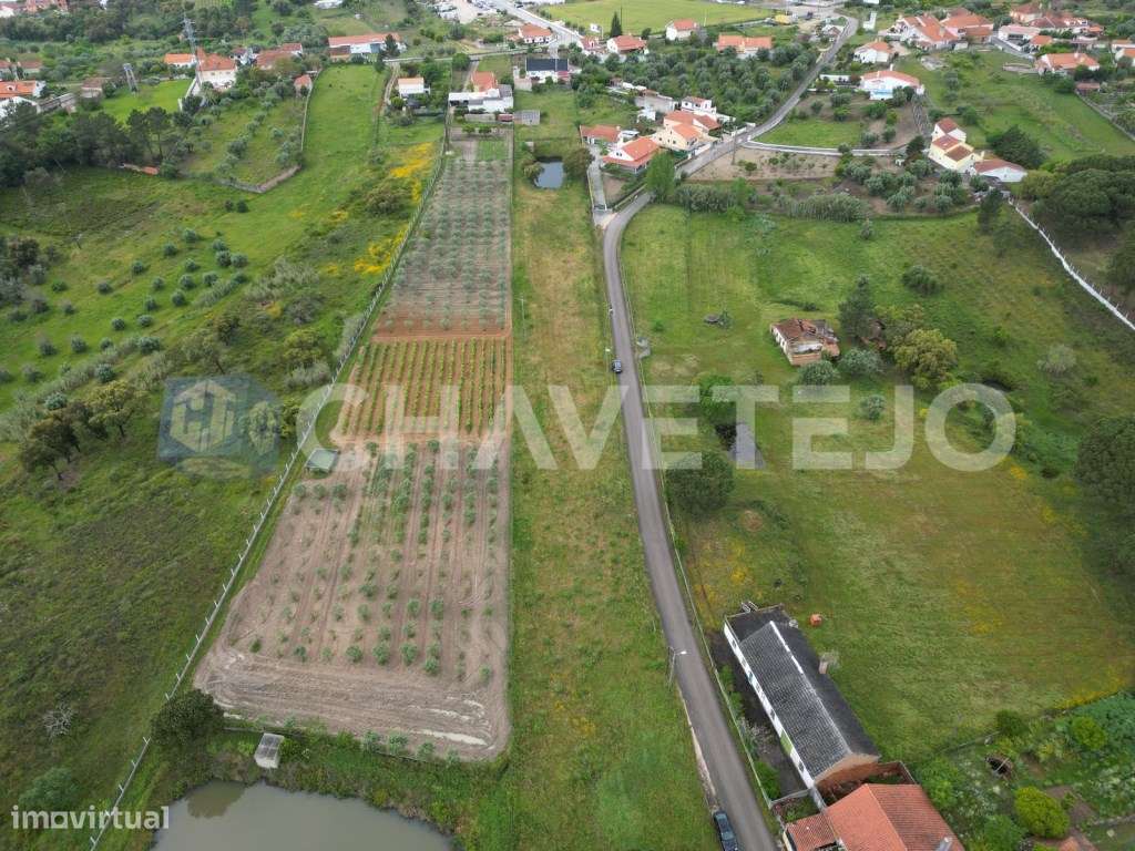 Terreno inserido parcialmente em espaços habitacionais no PDM, próx... - Grande imagem: 5/11
