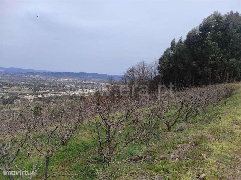 Quinta / Fundão, Aldeia Nova - Grande imagem: 2/4