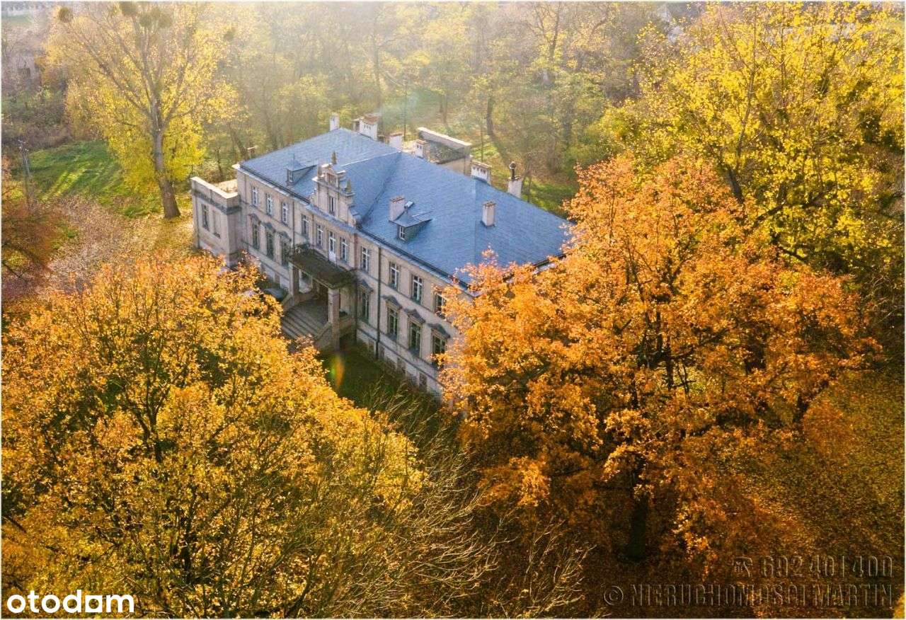 pałac w Niegolewie z parkiem 17 ha w tym rola 6 ha-0