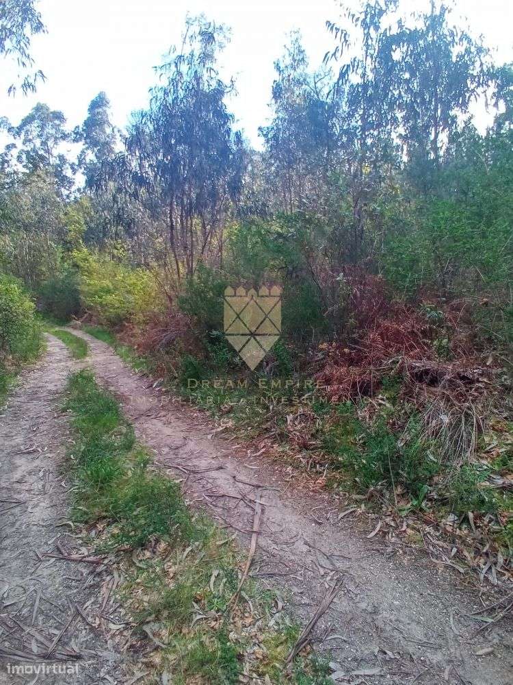 Terreno Rústico com 1.200 m² - Grande imagem: 2/7