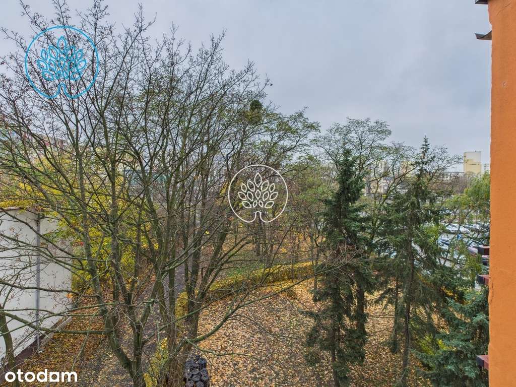 3 pokoje, do wejścia, blisko Zielonych Arkad - Pełny obrazek: 5/14