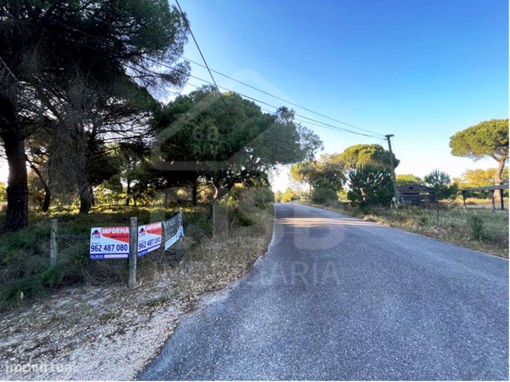 Terreno na Herdade do Zambujeiro - Grande imagem: 2/14