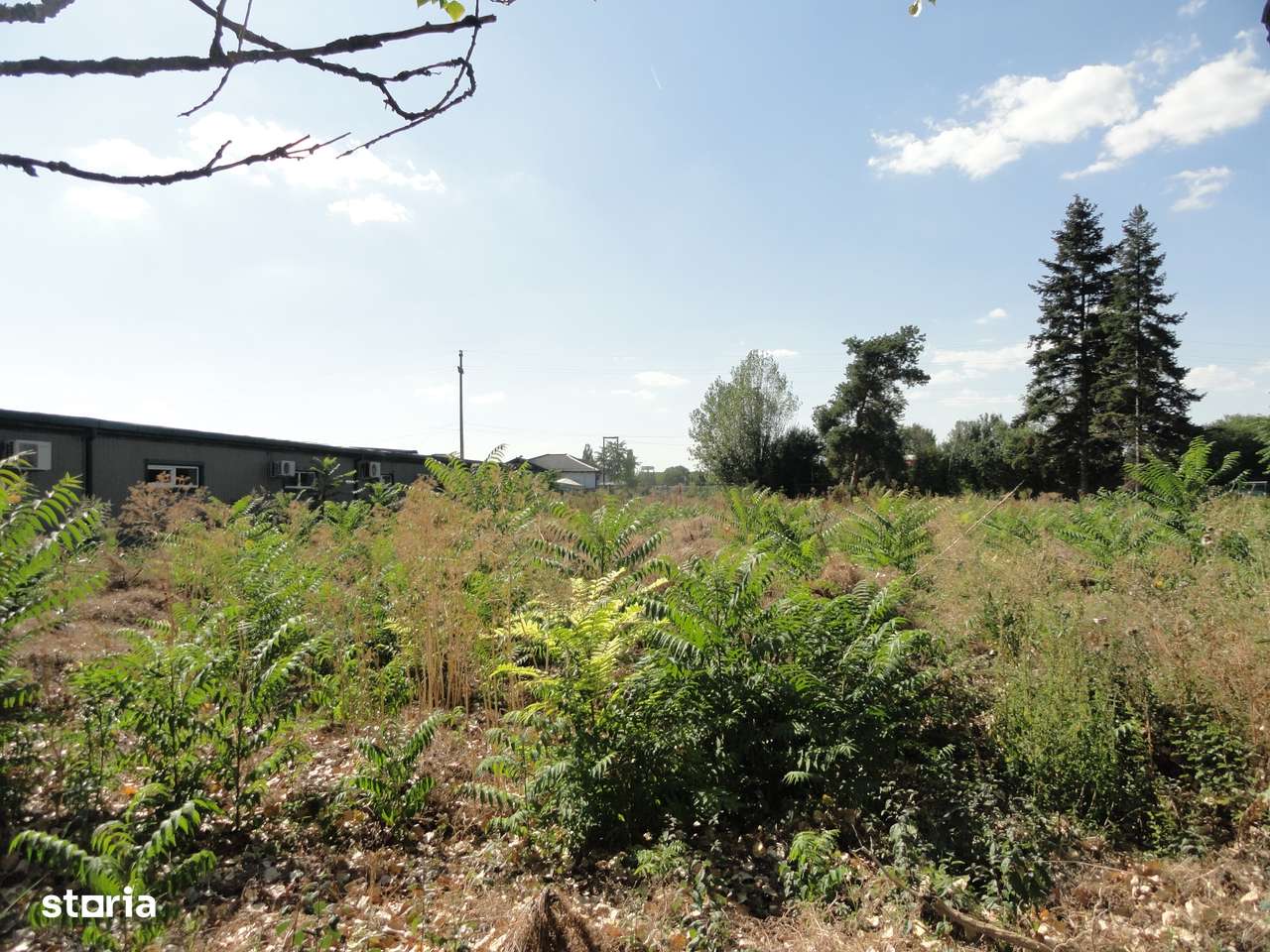 Teren intravilan 2.379 mp in Gradiste, langa Romana Residence - Imagine principală: 4/10