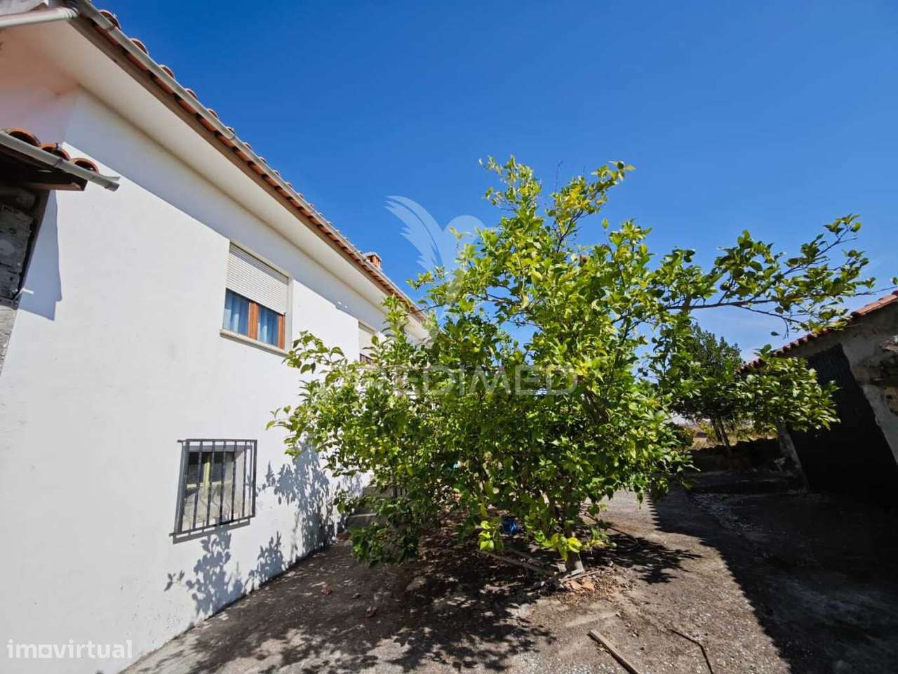 Casa de Campo ( Peral / Proença-a-Nova- Castelo Branco ) T5 de 92m2... - Grande imagem: 3/17