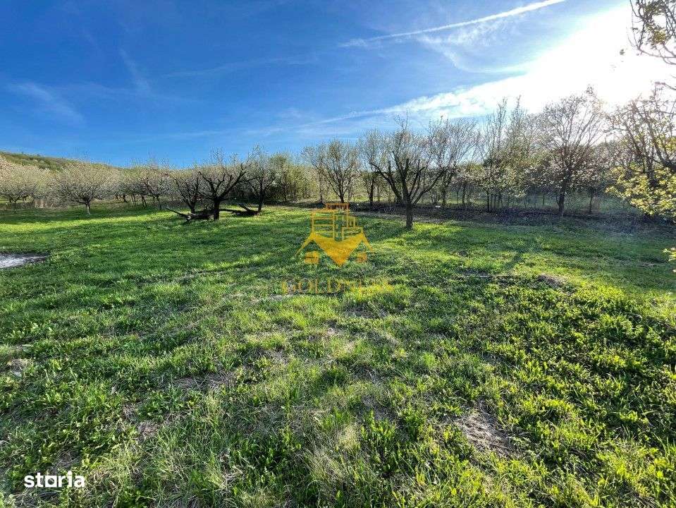 Tren Soporului Intravilan ,5500 MP Utilitati,  Oportunitate - Imagine principală: 2/10