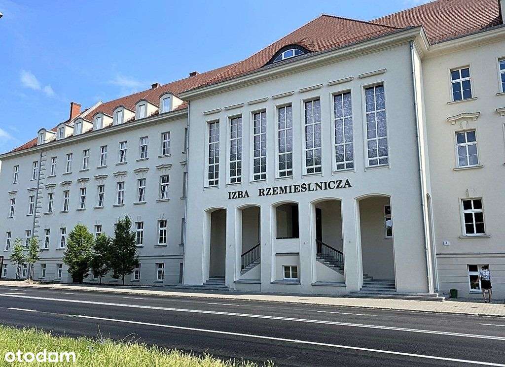 Lokal biurowo-usługowy w centrum Poznania - Pełny obrazek: 4/7