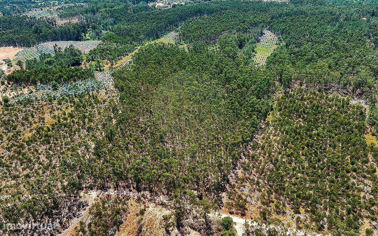 Terreno  para venda - Grande imagem: 4/9