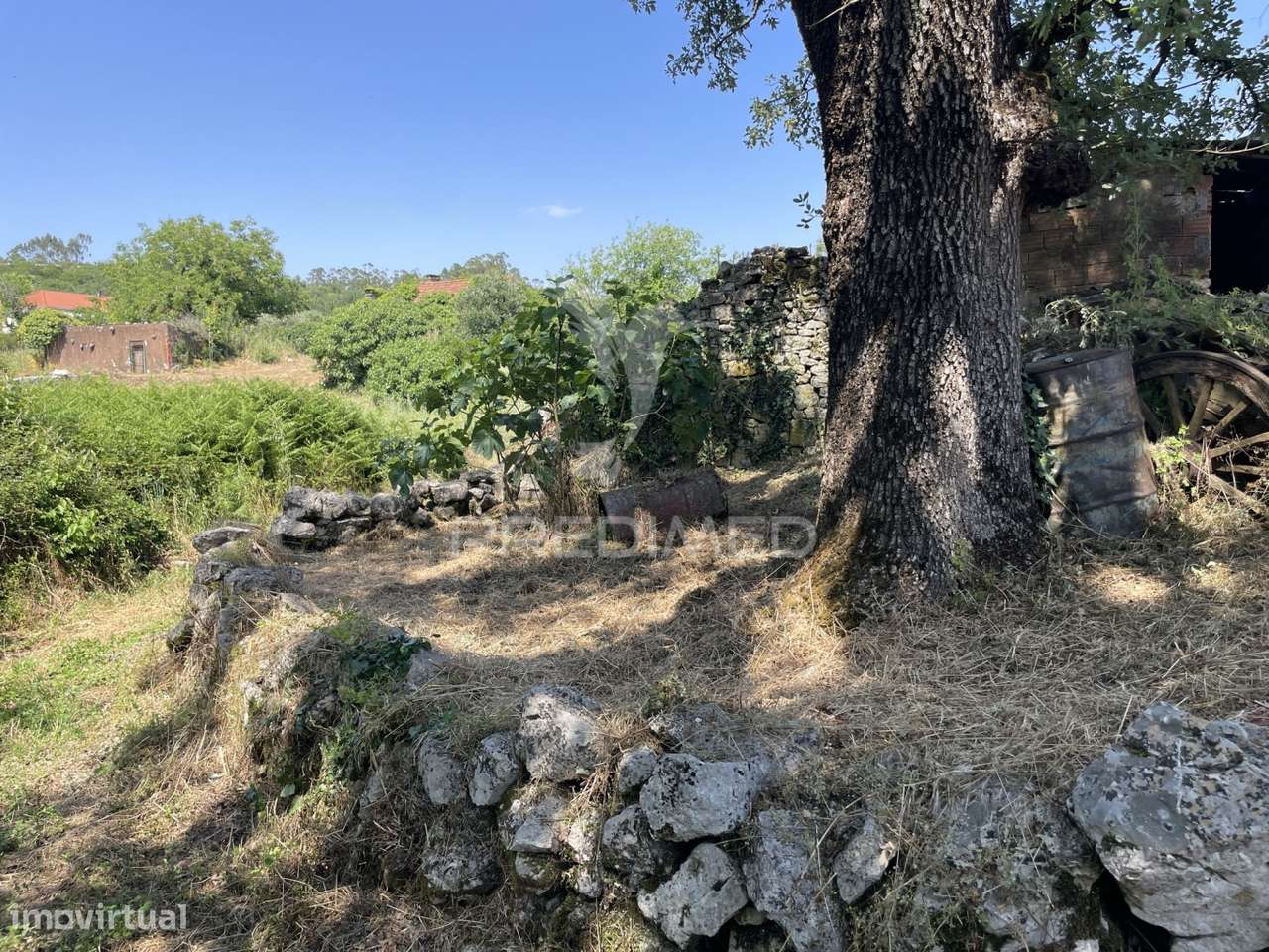 Ruina para reconstrução - Grande imagem: 5/14