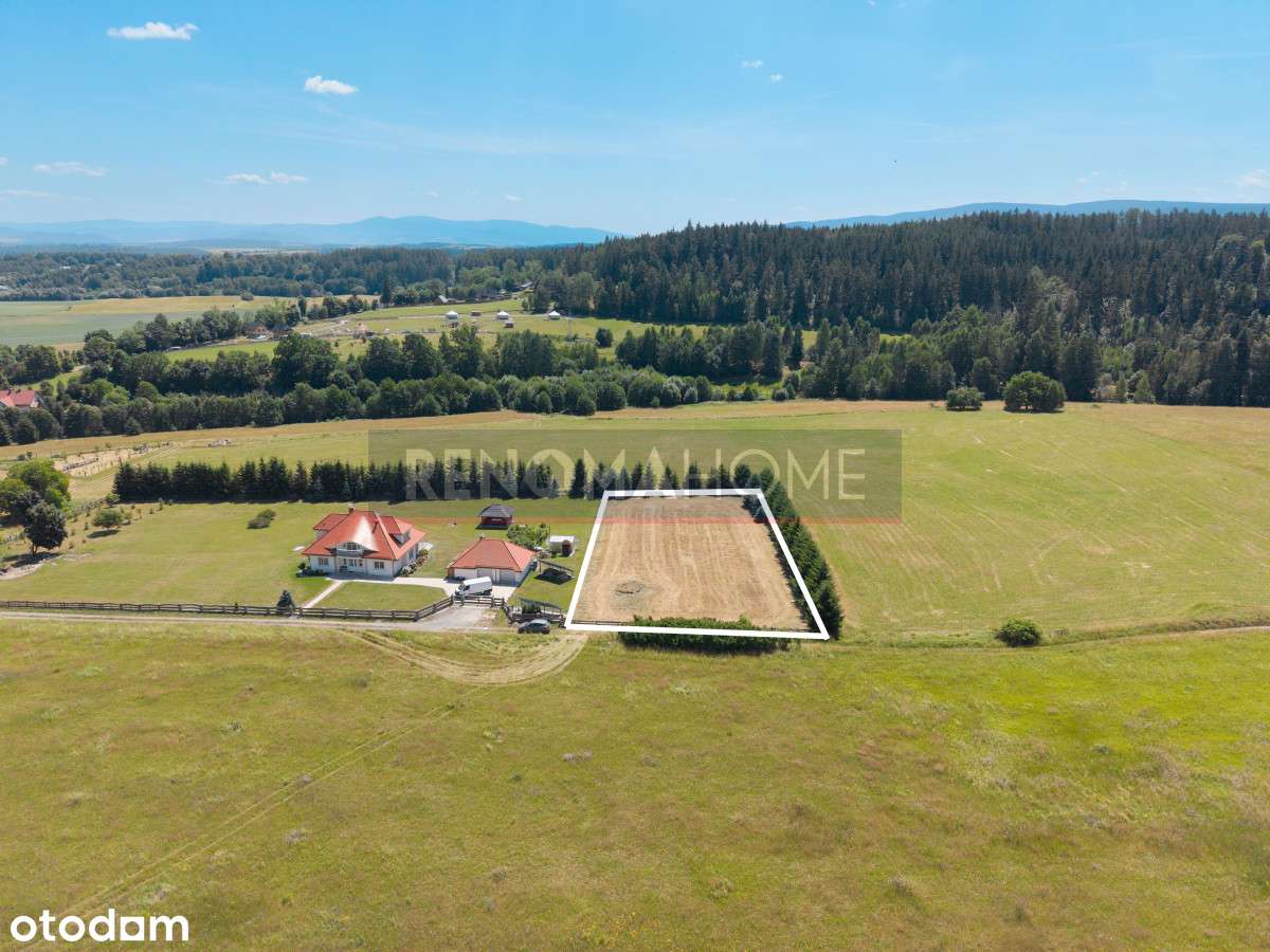 Działka / Wolany / - Pełny obrazek: 4/9