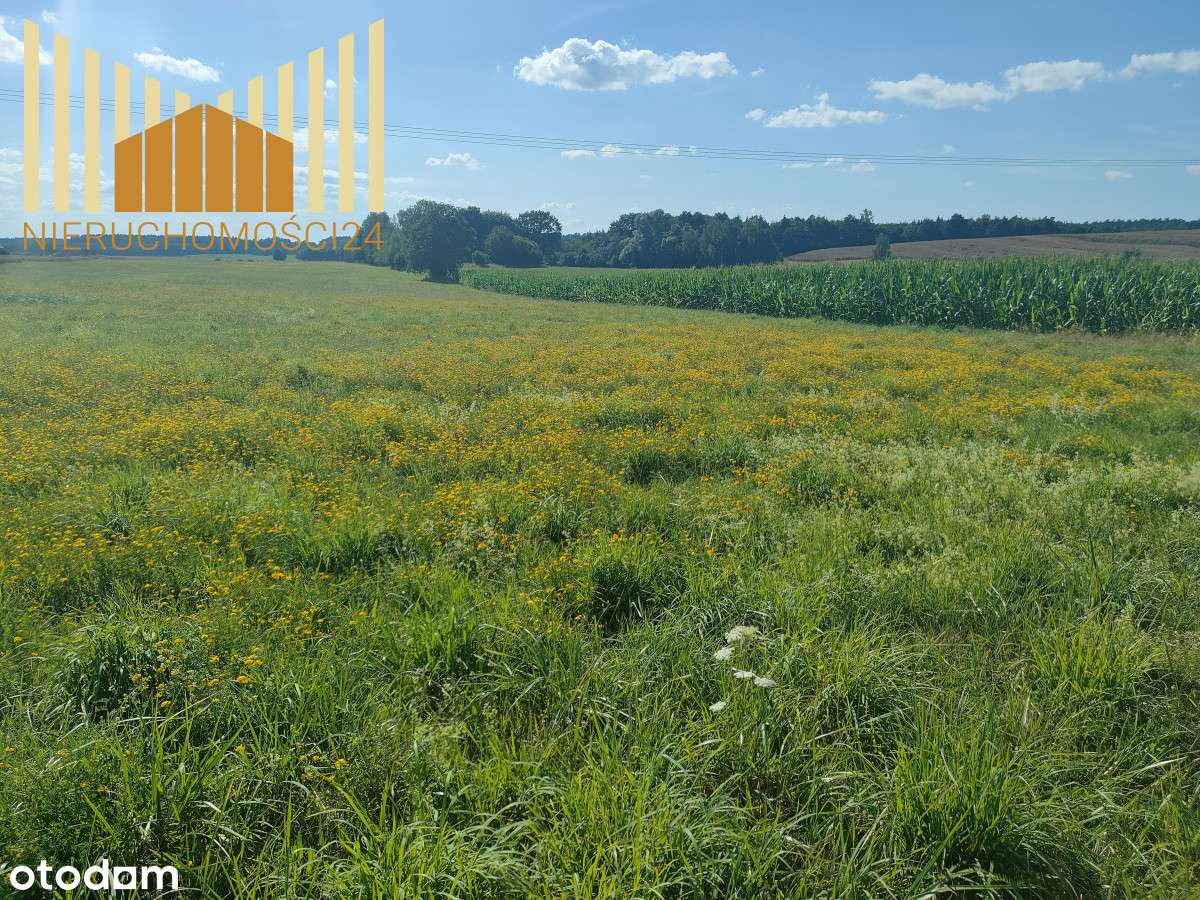 378012 - Pełny obrazek: 3/7