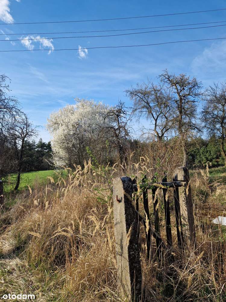 urokliwe siedlisko - Pełny obrazek: 3/19