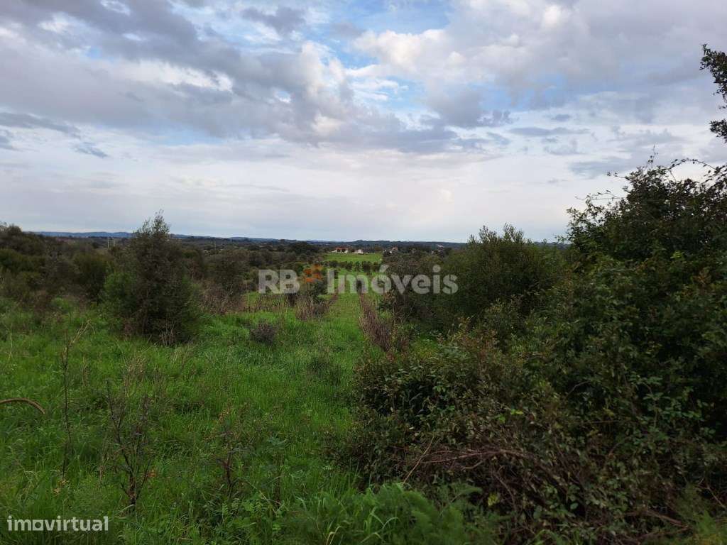Terreno rústico com 21640m2 - Lamarosa, Torres Novas - Grande imagem: 4/12
