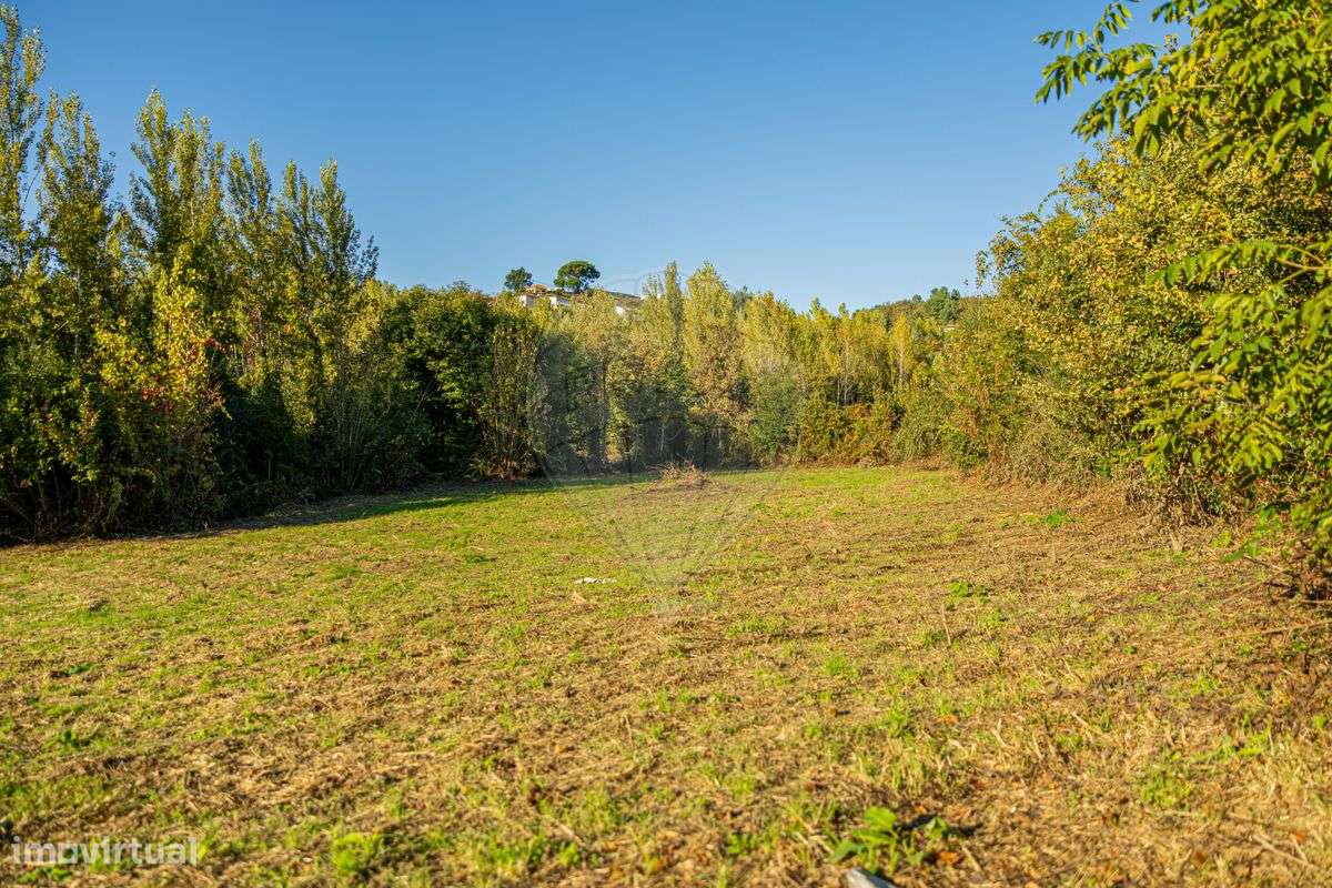 Terreno  para venda - Grande imagem: 5/16