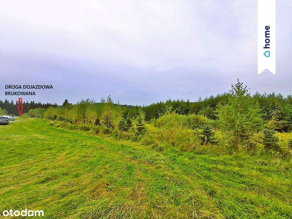 Działki z warunkami zabudoww Marcinkowie gm. Purda - Pełny obrazek: 1/4