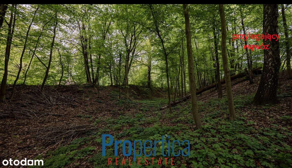 Budowlana. Łąka. Las. Wąwóz. 950m od Rynku!-4