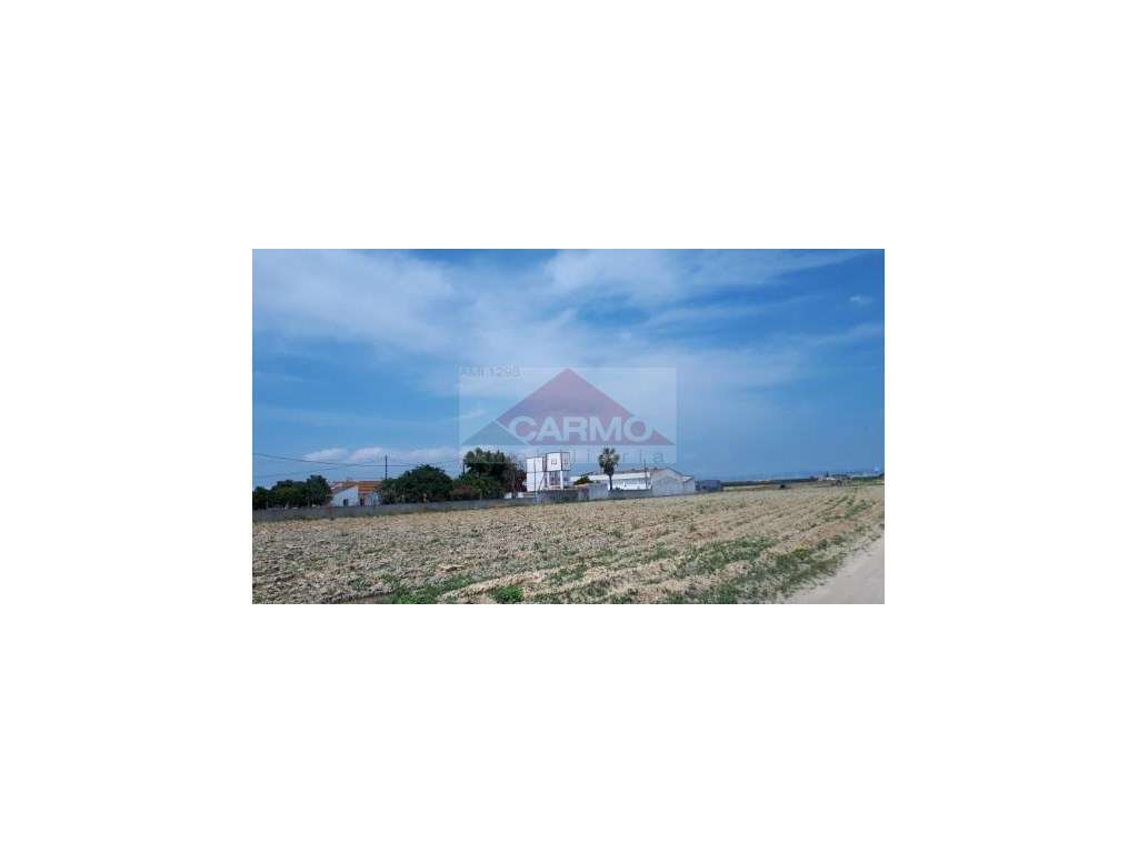 Terreno Misto / Montijo. - Grande imagem: 2/2