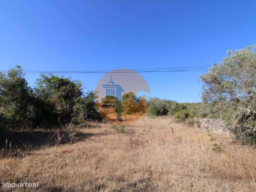 Terreno rústico com 1.640 m2 - Grande imagem: 3/13