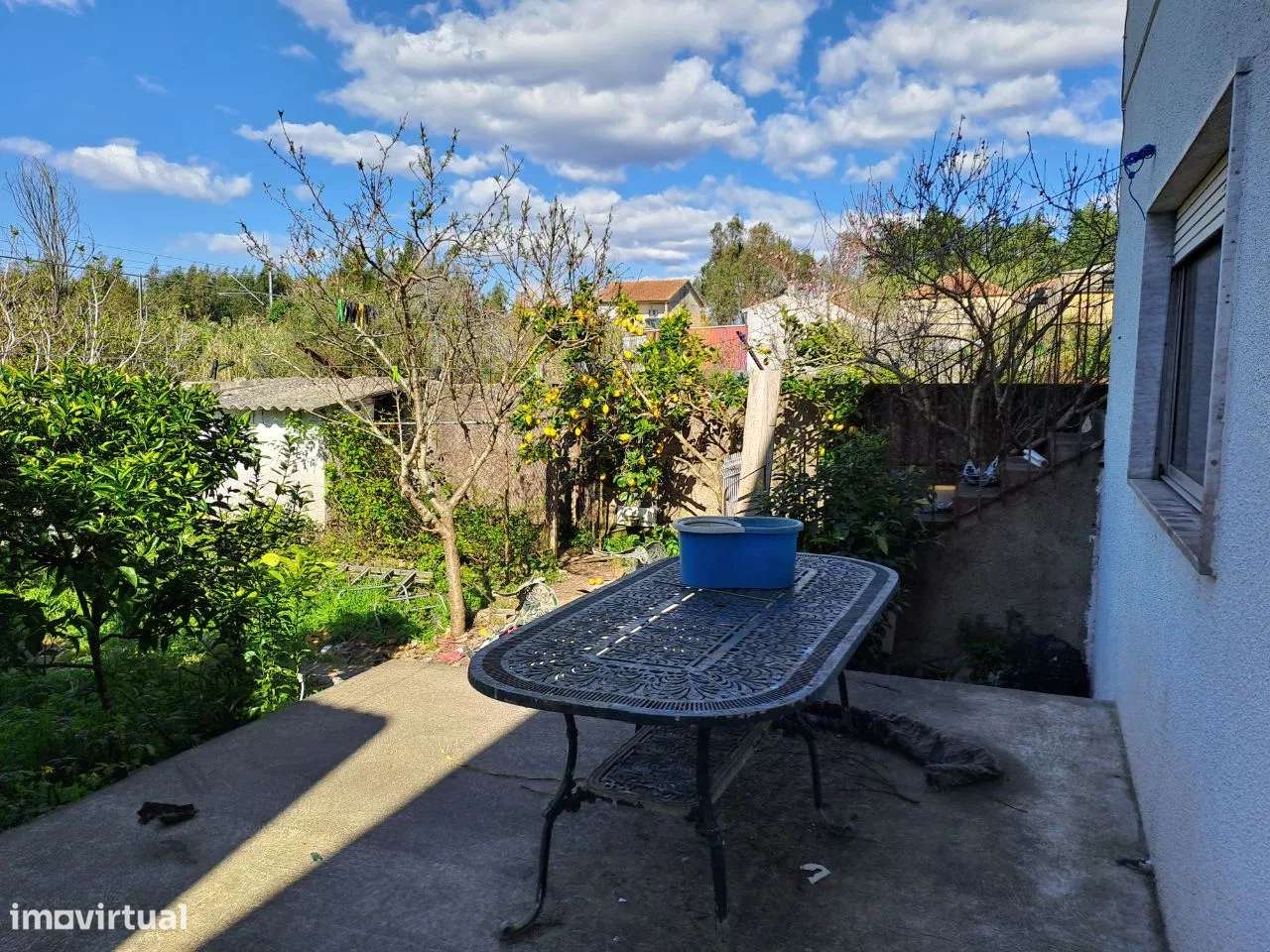 Moradia M5 com Jardim, Quintal com árvores de fruto - Santo Varão-22