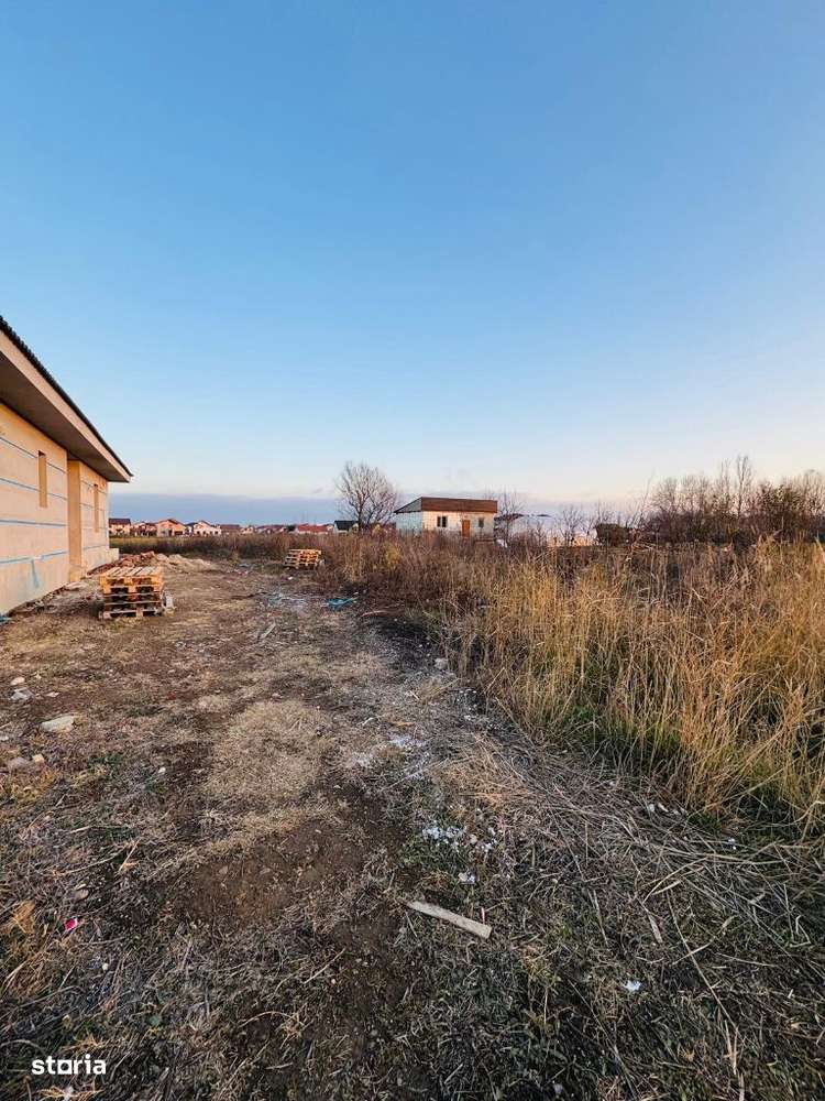 AV636 Teren intravilan, MOSNITA NOUA, 671 m - Imagine principală: 3/6