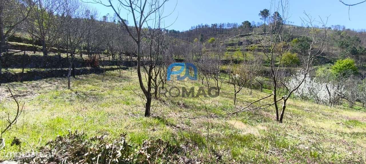 Quinta com 3 artigos urbanos, piscina e 9,4 ha em Resende-41