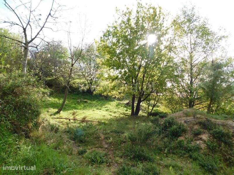 Terreno Urbano / Seia, São Romão - Grande imagem: 2/13