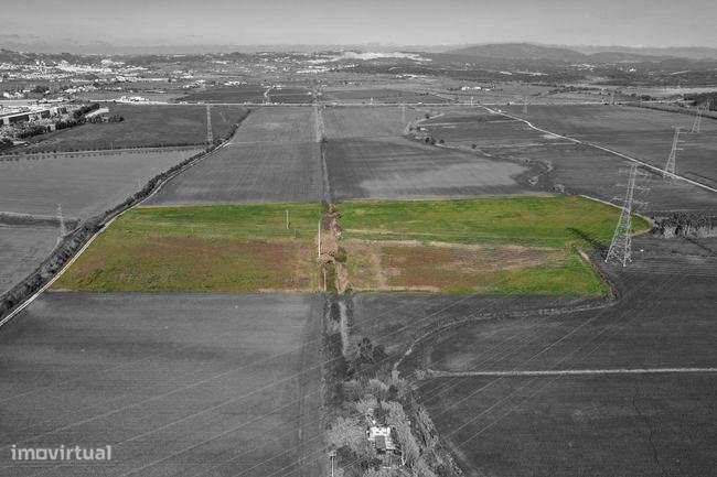 Dois terreno rusticos: Vila Nova Da Rainha, Alenquer - Lisboa - Grande imagem: 2/6