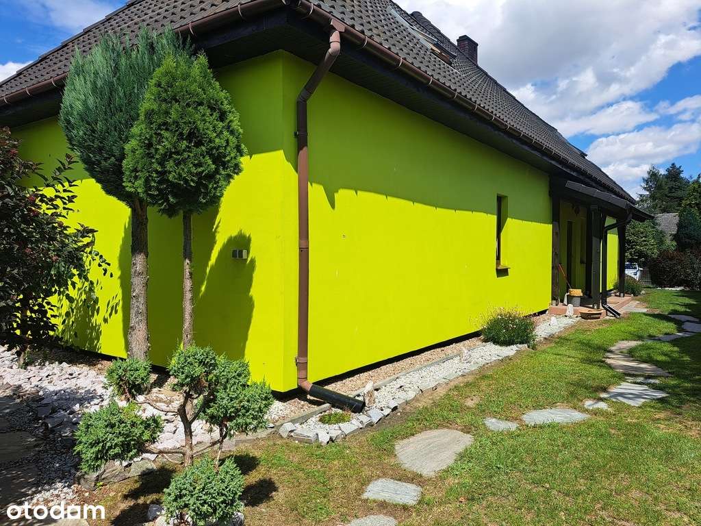 Borowa Raków dom wolnostojący działka 3230m2 - Pełny obrazek: 2/20