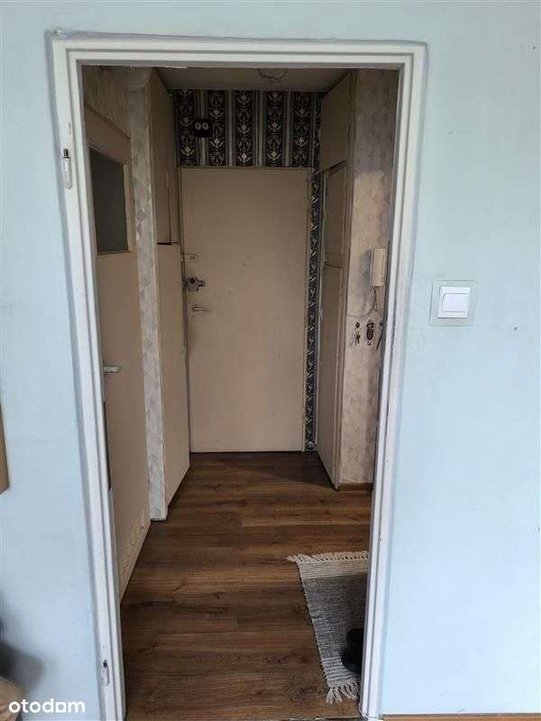 Racławicka/Krzyki/1 pok/piwnica/2 windy-6