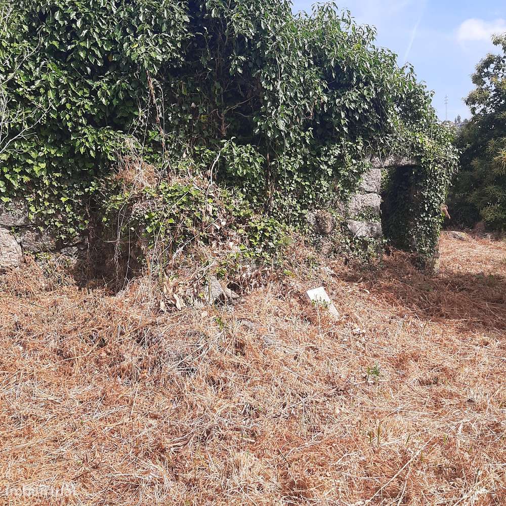 Casa em pedra para reconstruir Canelas Penafiel-17