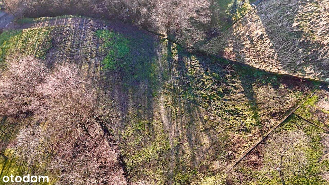 Na sprzedaż atrakcyjna działka w Mogilanach-14