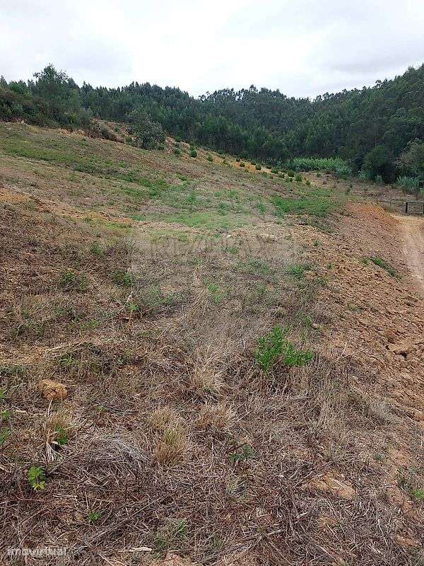 Terreno  para venda - Grande imagem: 2/20