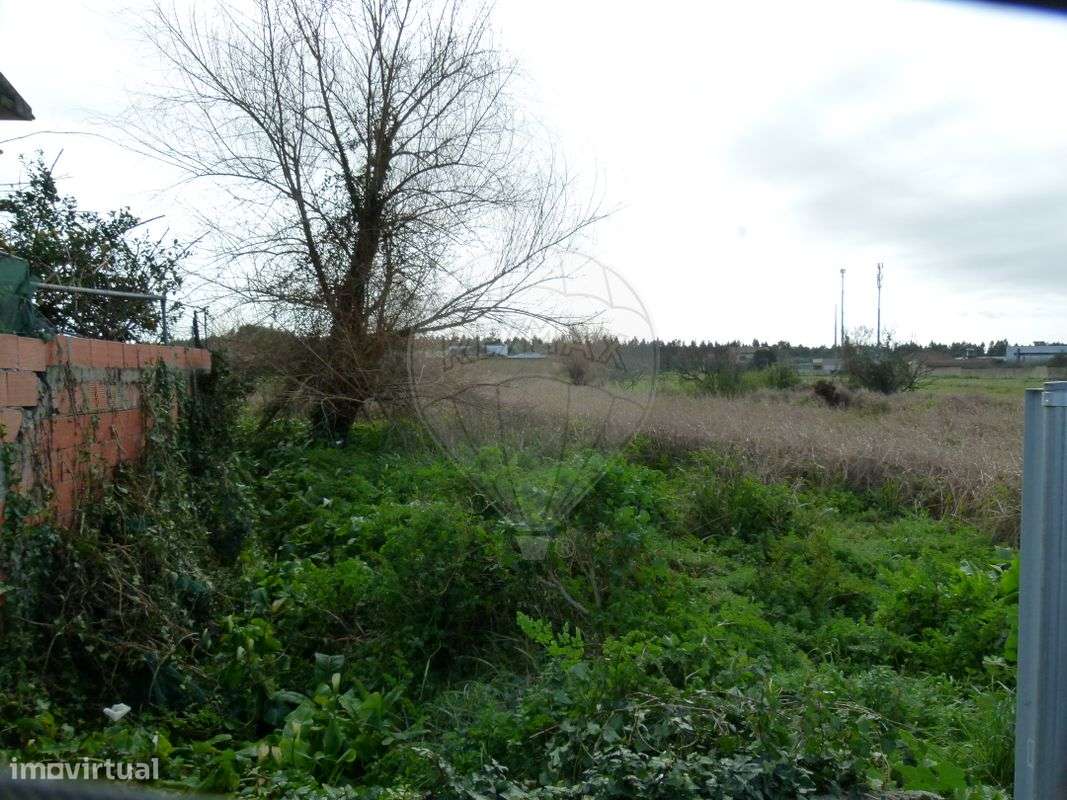 Terreno  para venda - Grande imagem: 4/17