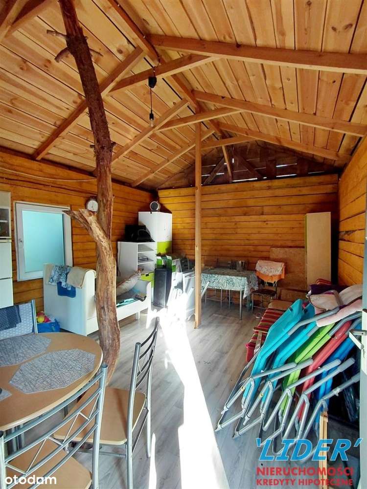 Ogródek działkowy na Rod Konwalia! - Pełny obrazek: 4/14