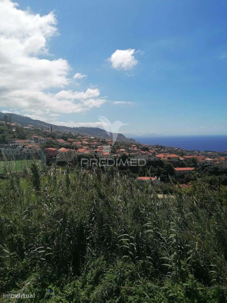 QUINTA HISTÓRICA VISTA FUNCHAL-3