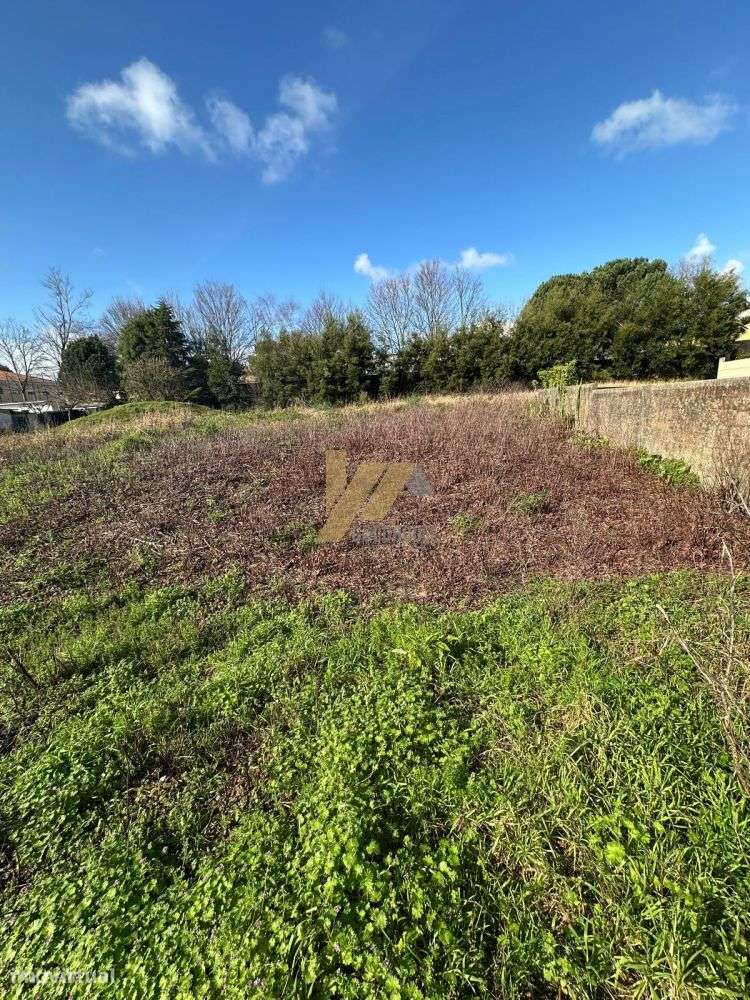 Terreno com 2344m2 e 44m de frente - Grande imagem: 2/3