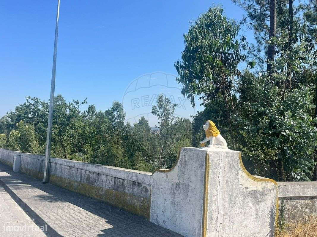 Terreno  para arrendamento - Grande imagem: 4/4