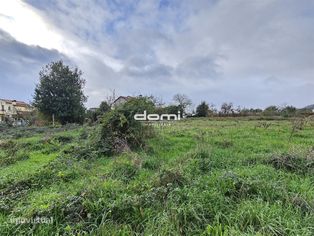Terreno de 3.155m² para construção no centro de São Pedro do Sul - Grande imagem: 3/14