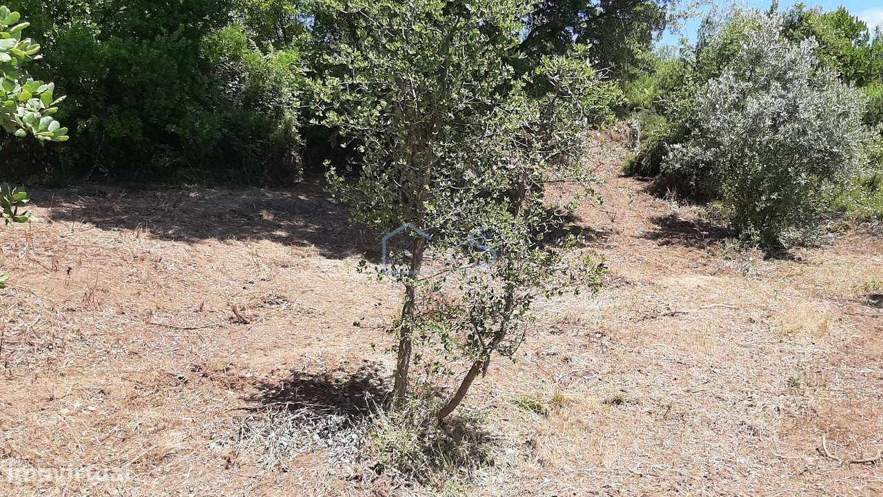 Terreno com Projeto Aprovado para Moradia em Besteiras – Águas Belas-21