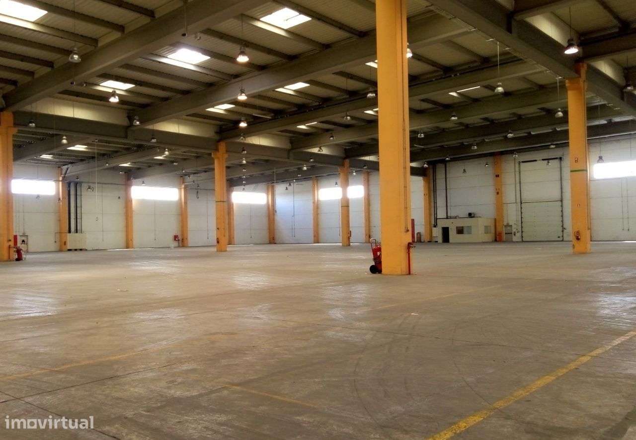 Armazém Logístico Palmela Arrendamento | 3.486 m2 | AutoEuropa - Grande imagem: 4/20