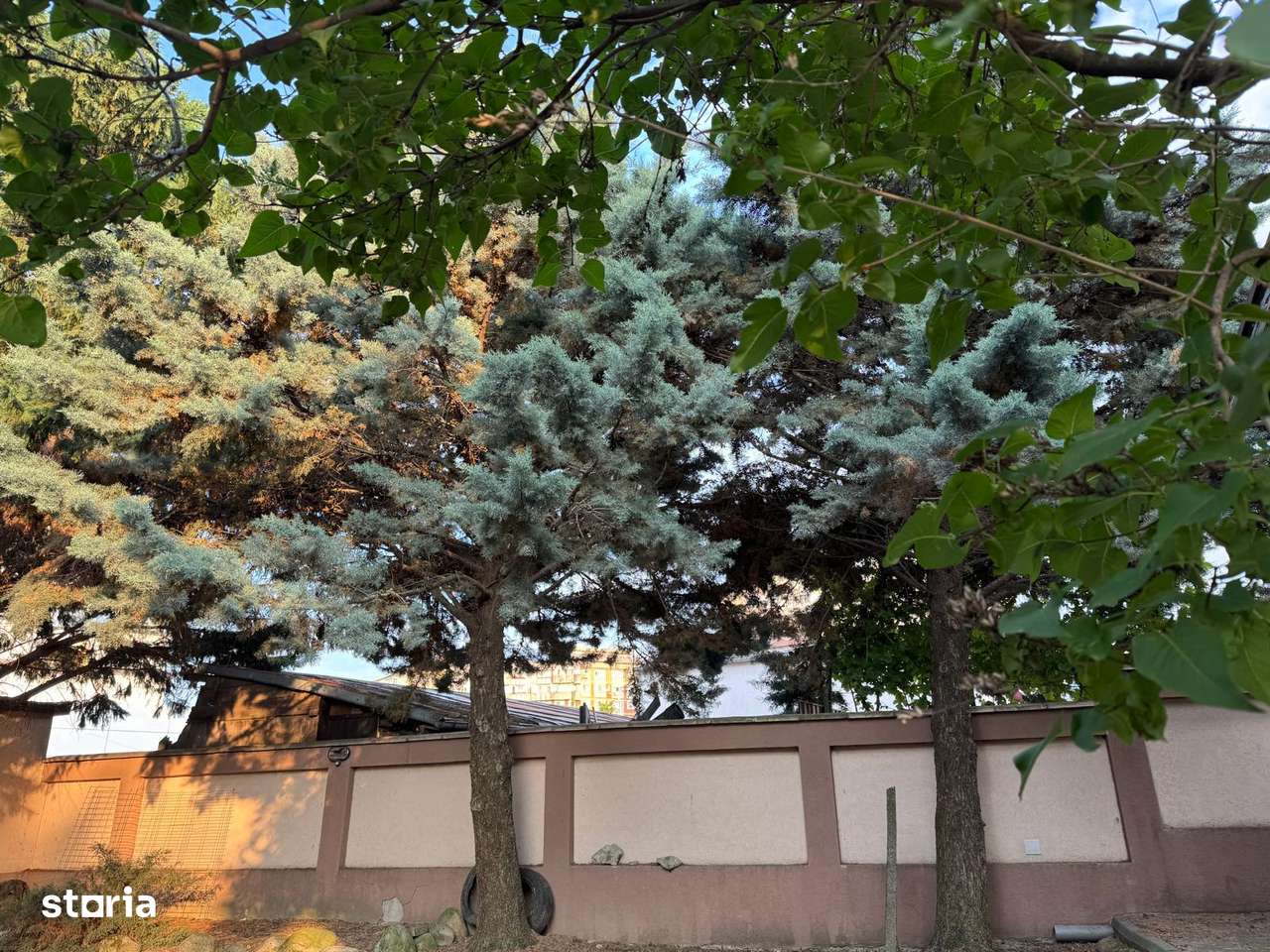 Vila de vanzare ultracentral Focsani, strada N. Titulescu nr. 2 bis-7