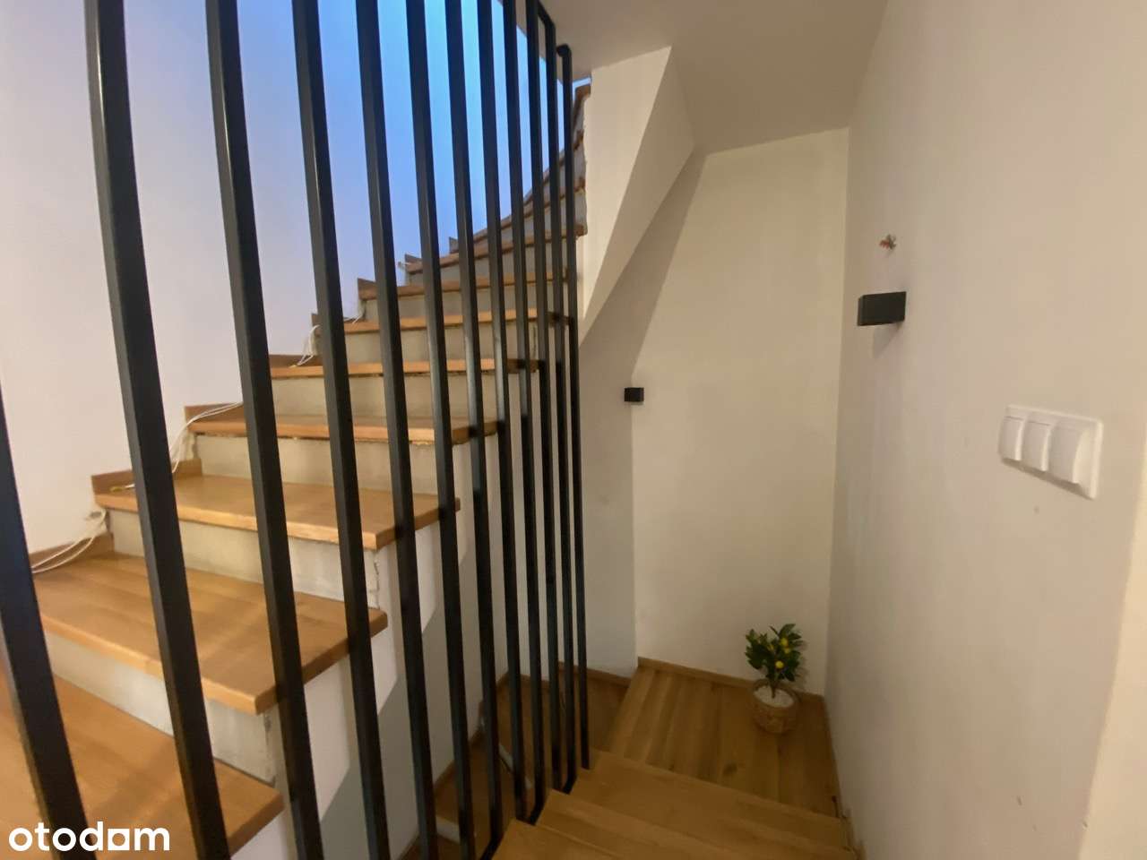 Dom z możliwością prowadzenia działalności – 144 m², Siedlce-17